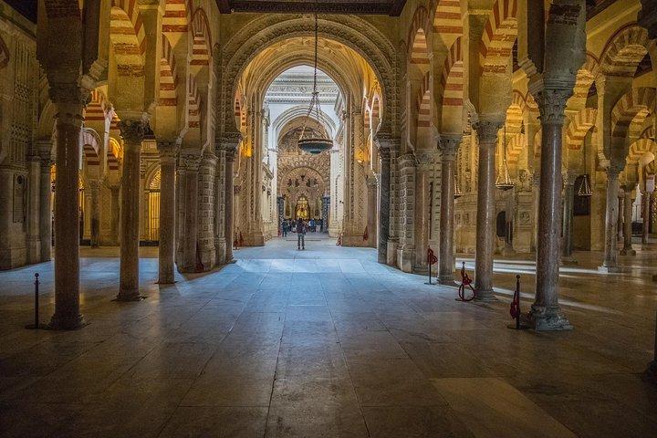 Visita alla Moschea-Cattedrale di Cordova con ingresso incluso