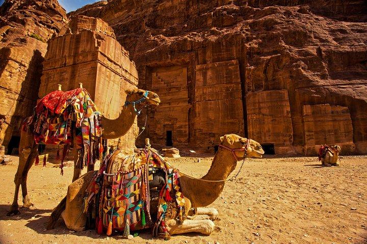 Desde Aqaba al día Excursión a Petra