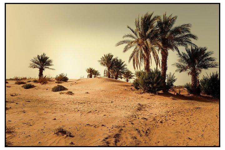 2 Days Desert Tour from Marrakech to Zagora