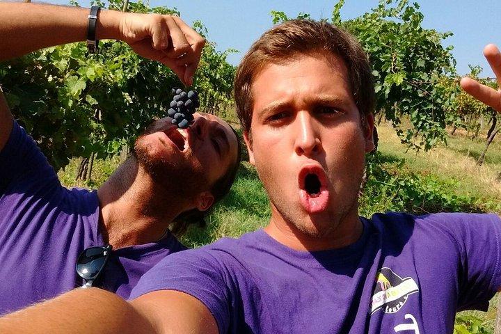 O melhor da Toscana em 3 dias