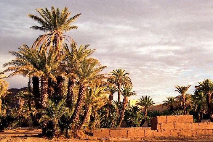 2 Days Desert Tour from Marrakech to Zagora