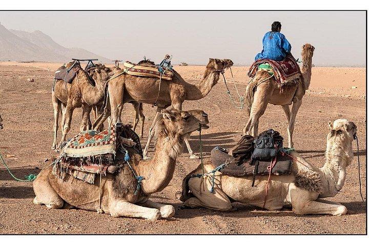 2 dages ørkenstur fra Marrakech til Zagora