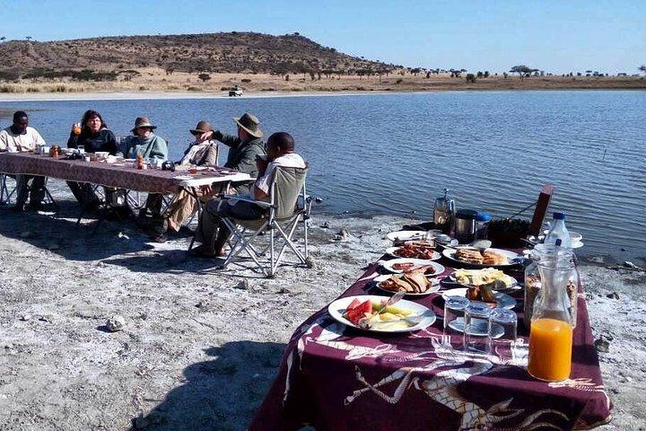 4-dages Serengeti, Ngorongoro, Tarangire-safari