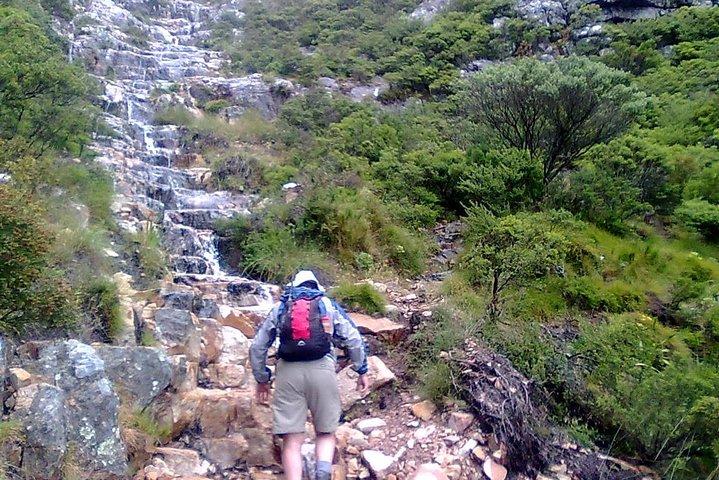 Hiking and Trekking on Table Mountain + Transport
