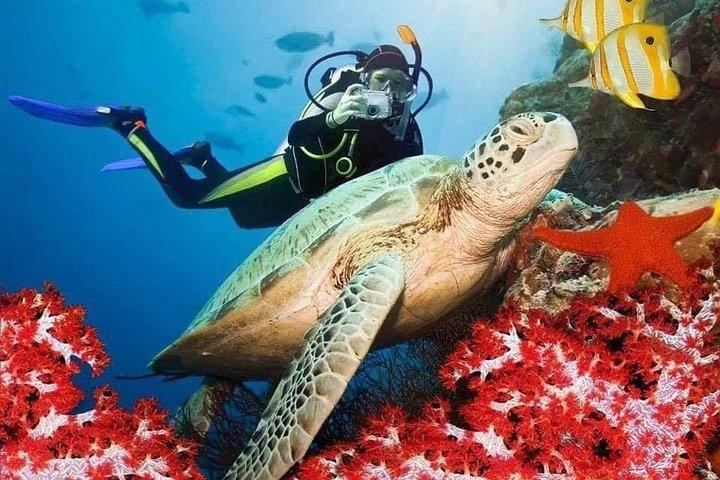 Giri turistici dello Sri Lanka. 5 notti di 6 giorni (tutto compreso)