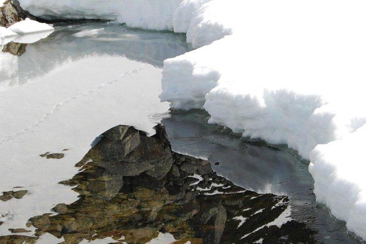 Eco friendly snowshoeing in Scenic Landscape