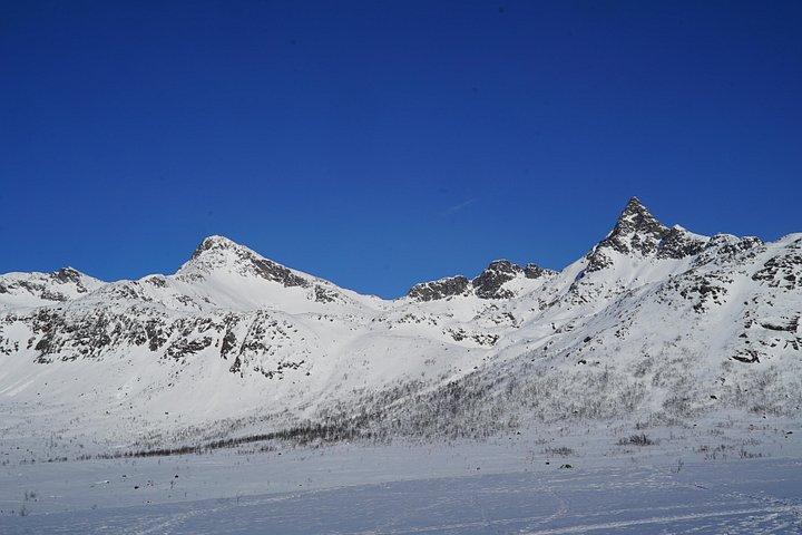 Eco friendly snowshoeing in Scenic Landscape