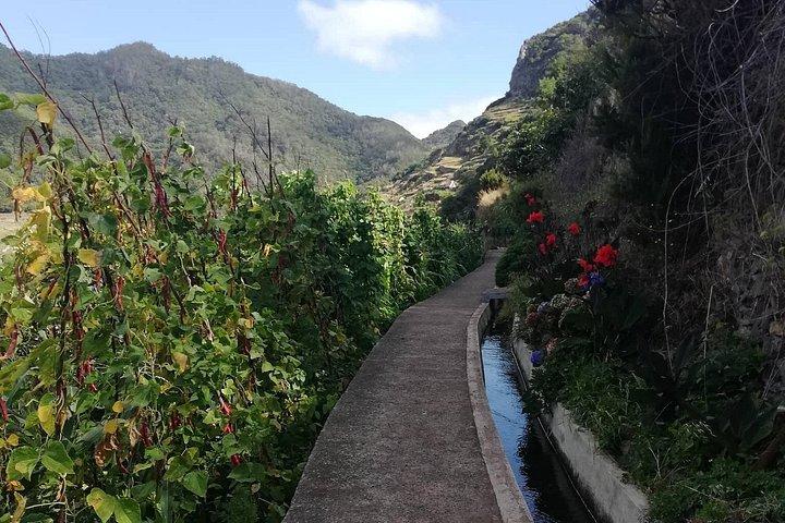 Maroços - Mimosa Valley