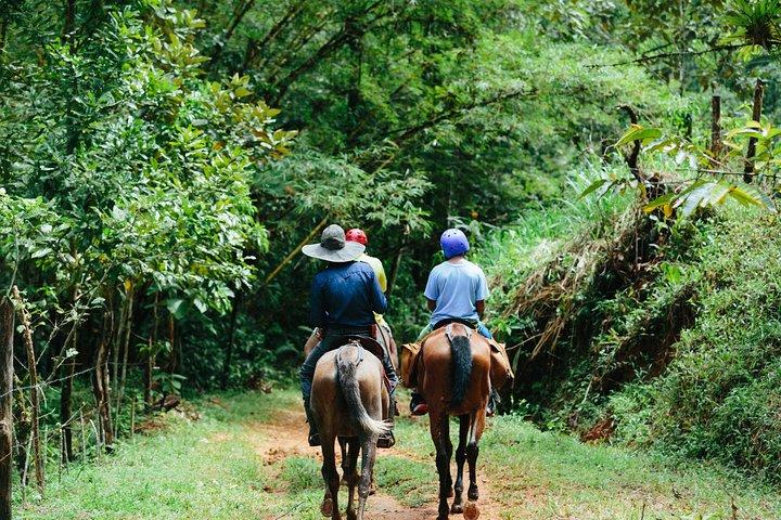 Reiten und Wasserfälle von Manuel Antonio