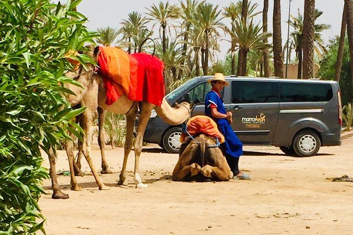 Camel Ride & Quad Biking Mezza giornata a Marrakech