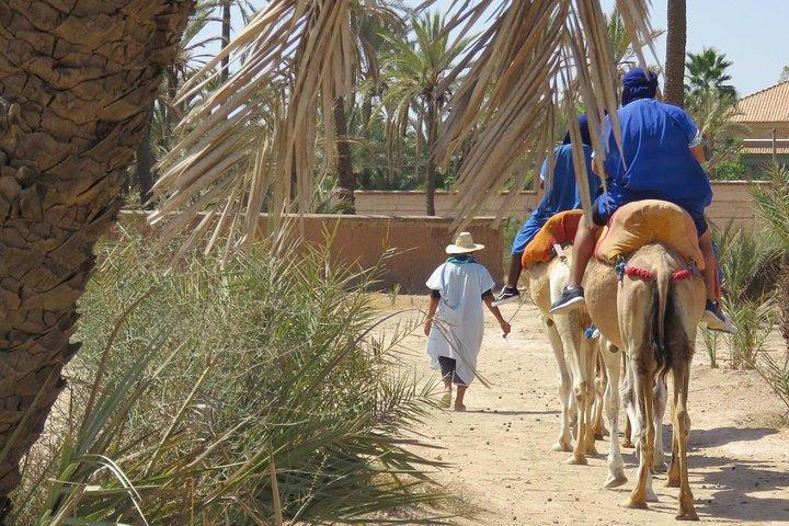Camel Ride & Quad Biking Mezza giornata a Marrakech