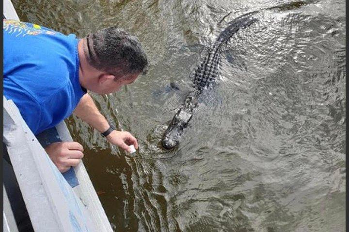 New Orleans Swamp Tour Boot Abenteuer