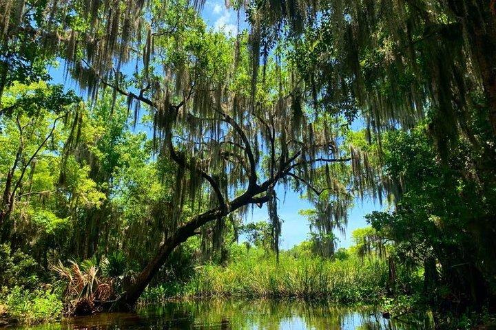 Große Airboat-Sumpftour mit Transport ab New Orleans