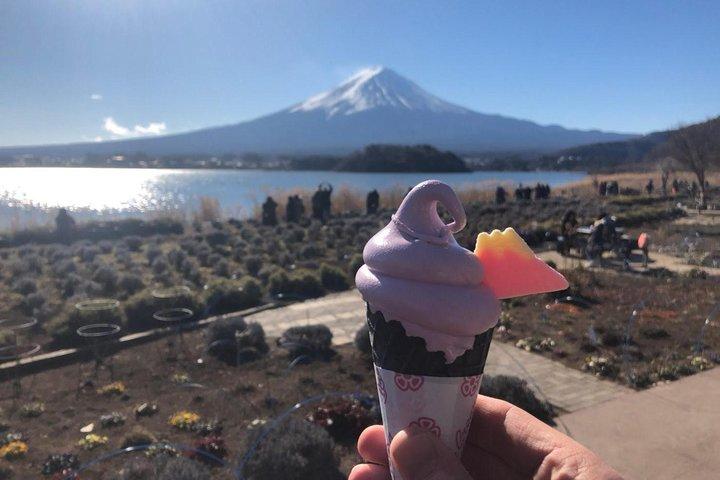 雄大な富士山とレイククルーズ、麺づくり体験