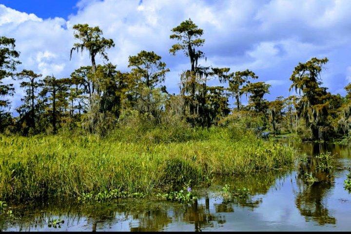 New Orleans Swamp Tour båtäventyr med transport