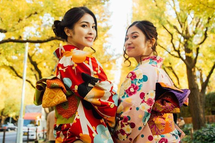 [Privé] Kyoto Tour sur mesure (Guide + Transport privé)