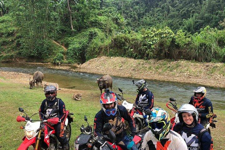 ハノイからクイニョン経由サイゴンへのバイクツアー - 12日間