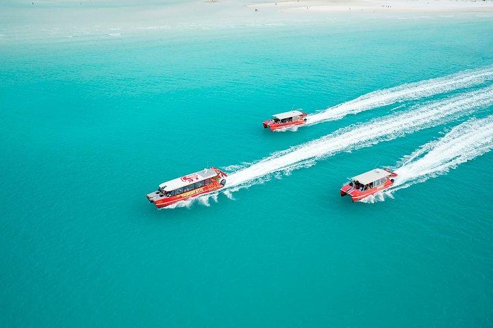 Crociera di snorkeling sulla spiaggia di Whitehaven e Hill Inlet Lookout