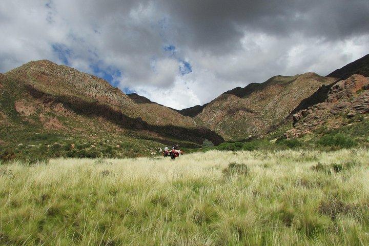 Expedición a caballo a los Andes, 3 días.