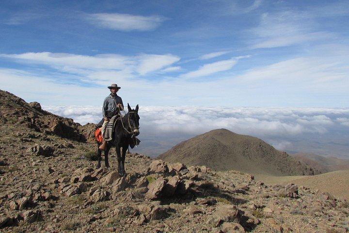 Horseback expedition to The Andes, 3 days