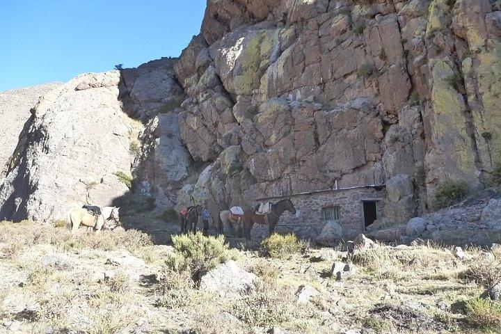 Horseback expedition to The Andes, 3 days