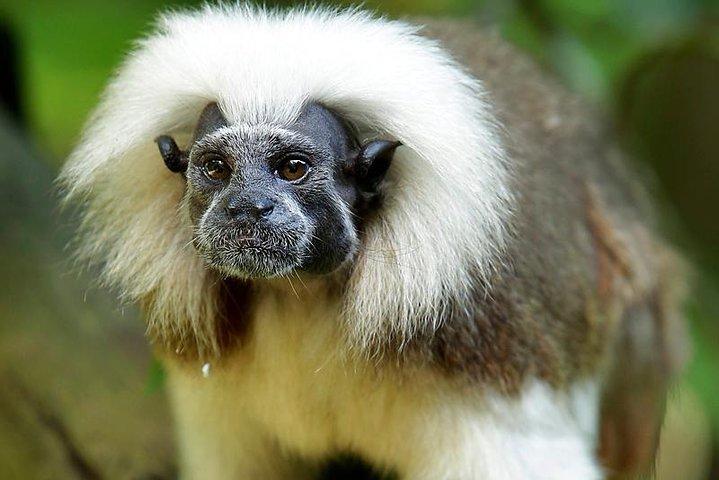 Matinée au zoo (avec option Petit-déjeuner)