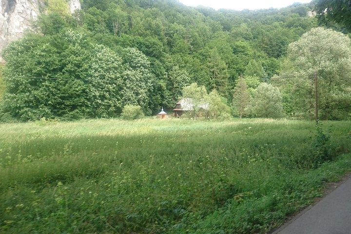 クラクフ - オイコウ国立公園のバイクツアー - 交通手段