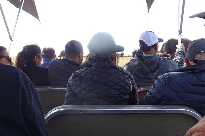chobe Day trip