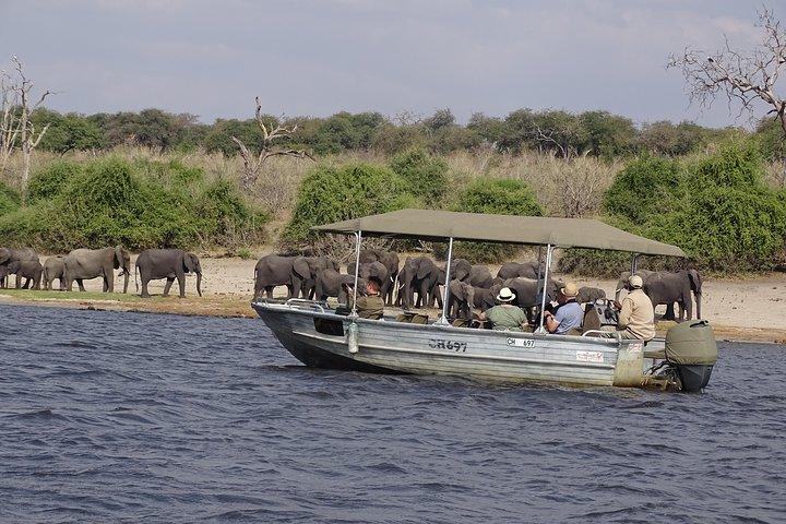 chobe Day trip