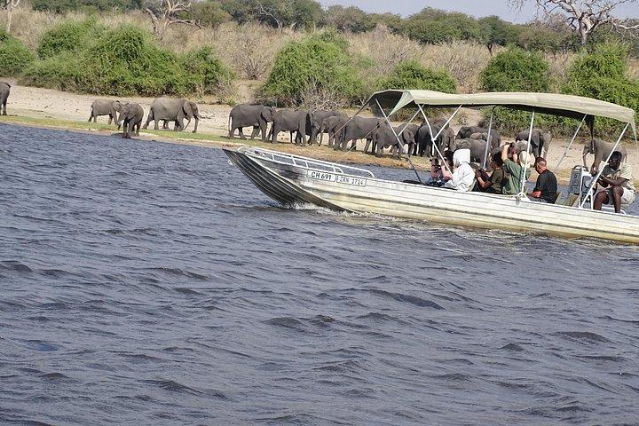 chobe Day trip