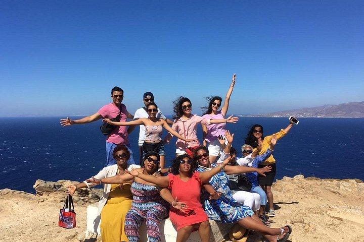 Excursion d'une demi-journée à Mykonos