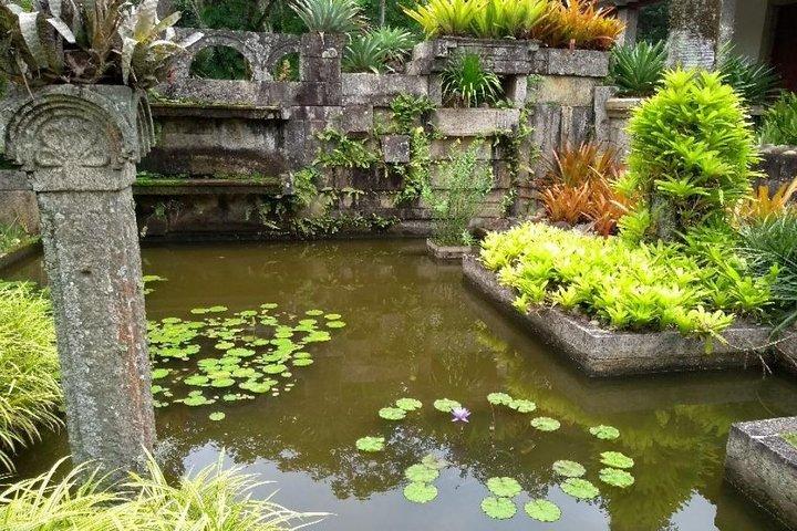 Sitio Roberto Burle Marx Tour Guia Bilhete e Transferência