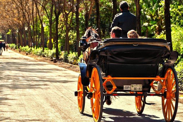 Paseo en carruaje tirado por caballos por Sevilla