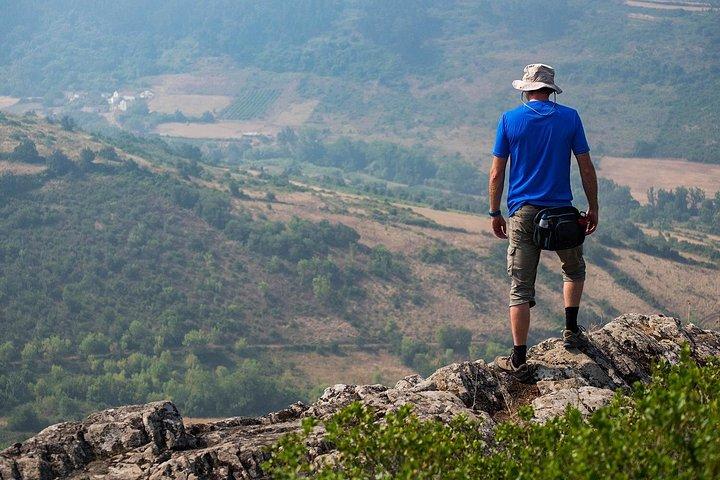 Discover Sintra's Hidden Trails: A Unique Hiking Experience