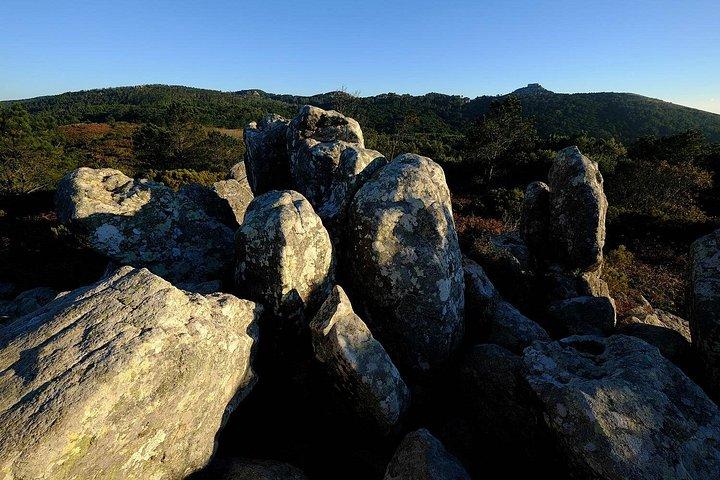 Discover Sintra's Hidden Trails: A Unique Hiking Experience