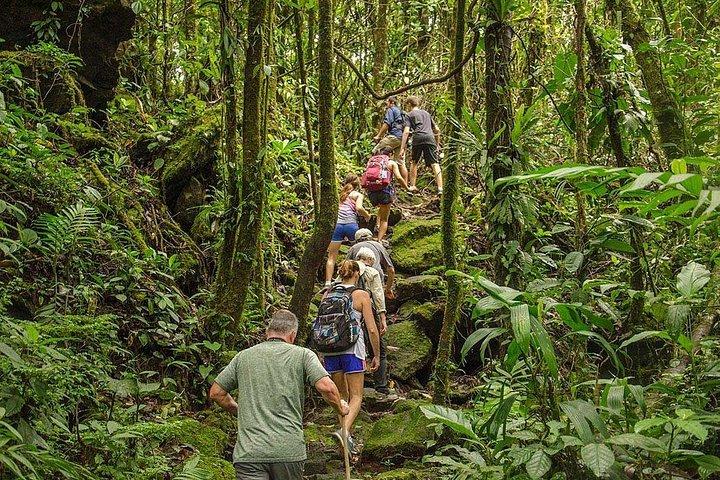 Arenal Volcano Bird Watching Experience