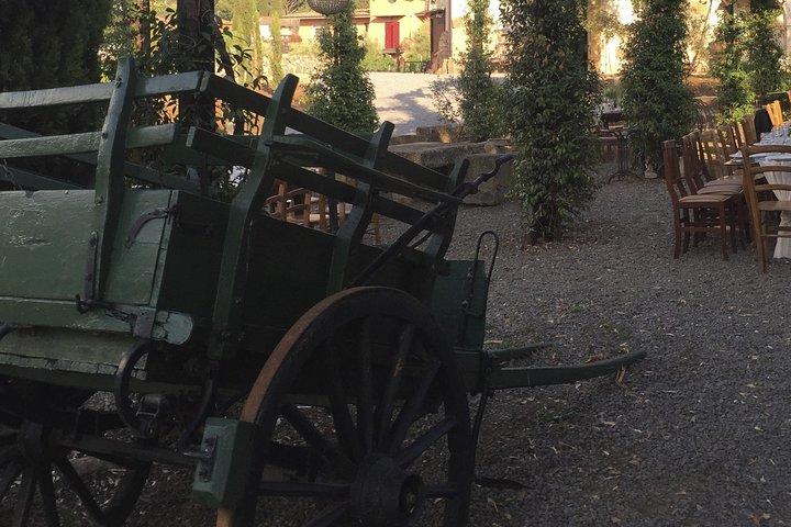 Roma - Cata privada de vinos Castelli Romani