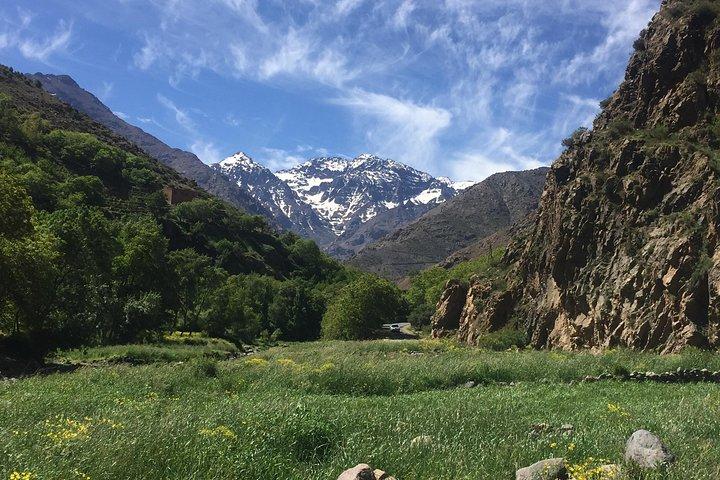 Private Day trip Atlas Mountains and 5 Valleys -All inclusive-