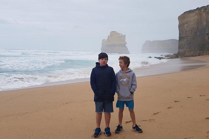 Excursion d’une journée sur la Great Ocean Road au départ de Melbourne