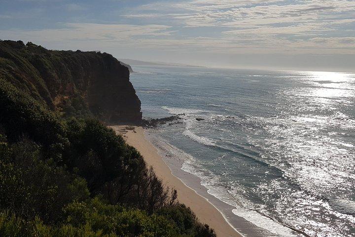 Excursion d’une journée sur la Great Ocean Road au départ de Melbourne