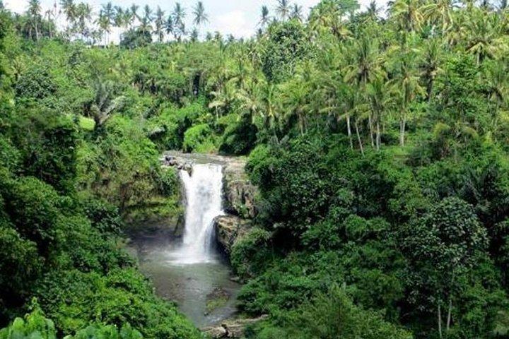 Ganztägige Bali-Tour – Ubud- und Tanah-Lot-Tempeltour