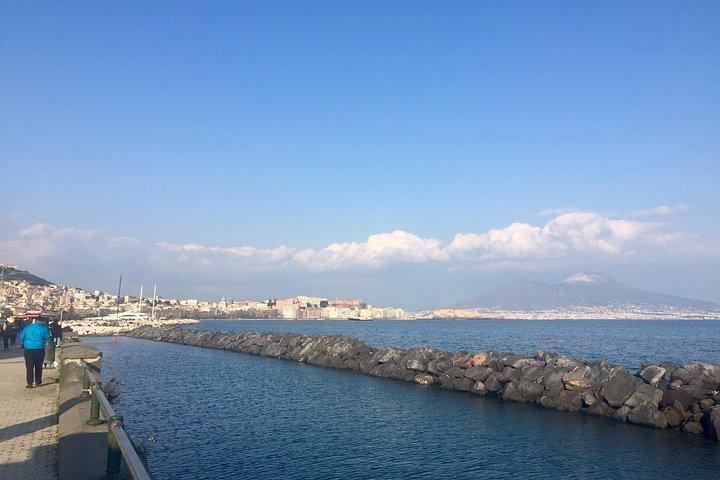 ナポリ発ポンペイ＆ヴェスヴィオ山日帰りツアー（ピザランチ付き）