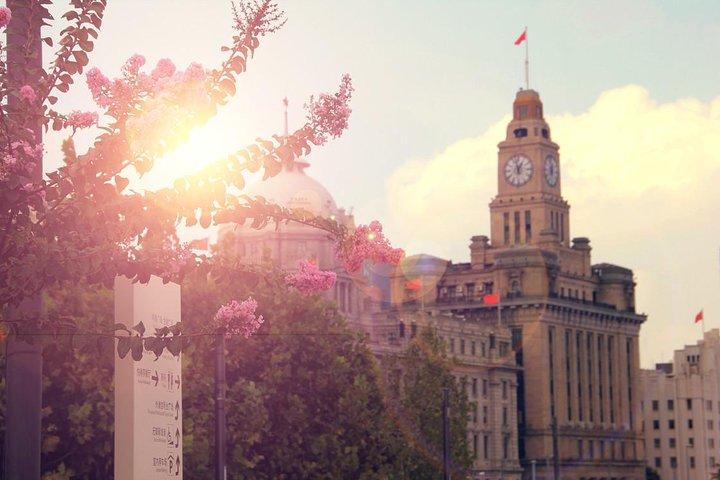 Excursão à costa privada de Shanghai Highlights