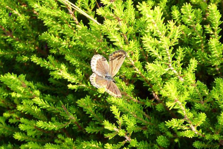 Discovering Nature in Serra da Lousã