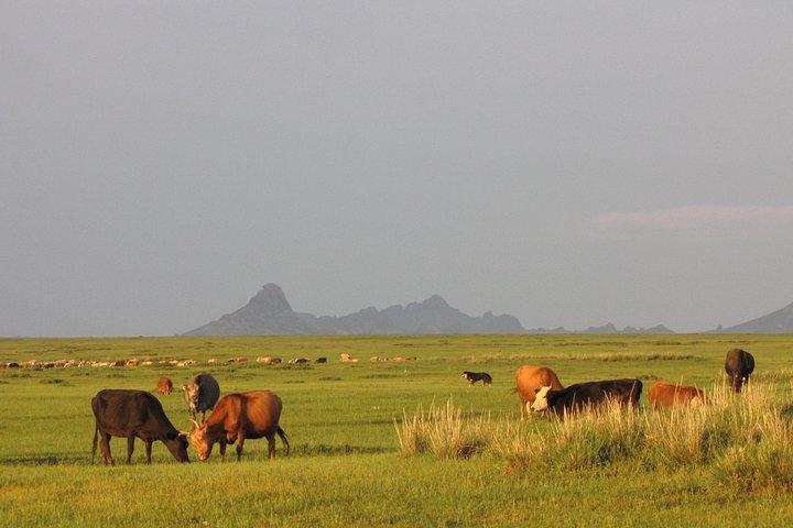 Lo mejor de Mongolia central en 5 días