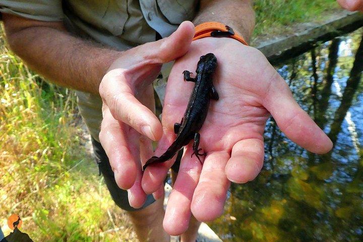 Discovering Nature in Serra da Lousã