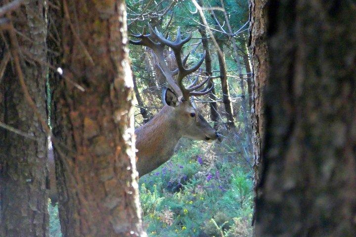 Discovering Nature in Serra da Lousã