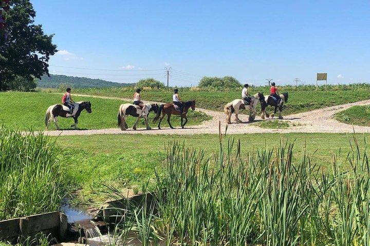 ブラショフでの乗馬ツアー - 野原、森、丘を駆け抜ける