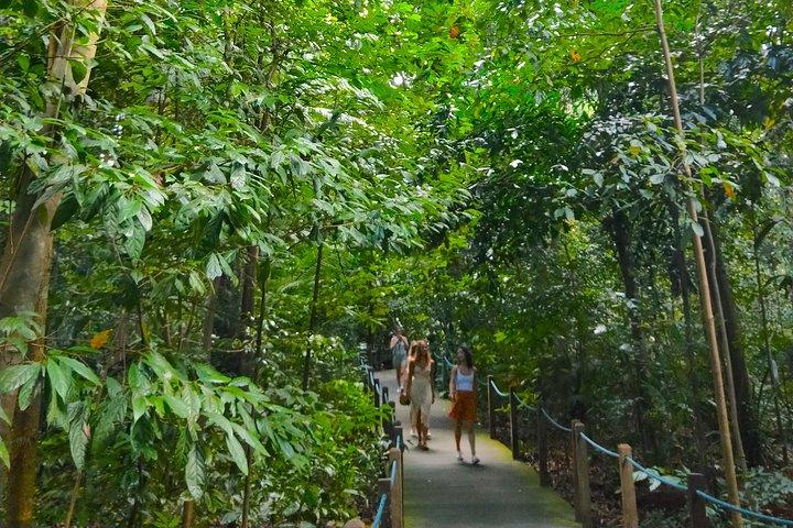 プライベート ツアー シンガポール植物園（ユネスコ）