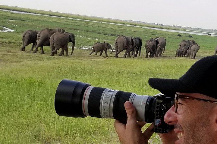 Chobe dagtrip vanuit Victoria Falls Zimbabwe